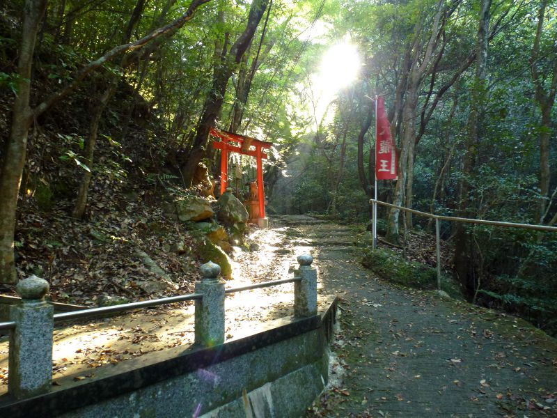 犬鳴山から和泉葛城山へ縦走 七宝瀧寺からピストン とある関西人の外遊び