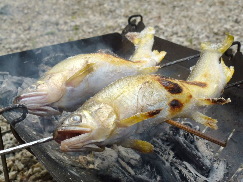 焚き火で 鮎の塩焼き 下処理と串打ち 化粧塩 とある関西人の外遊び