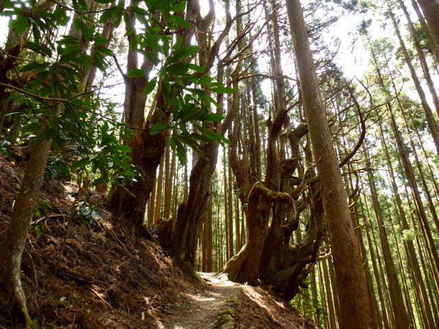 熊野古道 小辺路 難易度や日程 おすすめコースまとめ とある関西人の外遊び
